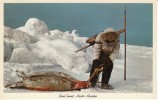 AK Alaska, Native Eskimo Hunts Seal, Fur, On C1950s/60s Vintage Postcard - Autres & Non Classés