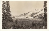 Mt McKinley AK Alaska, Hotel Lodging In National Park, C1950s/60s Vintage Real Photo Postcard - Parques Nacionales USA