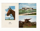Carte 1975 EVRY / Multivues PREFECTURE ET LE CHAMP DE COURSES (cheval) - Evry