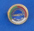 ITALY GYMNASTICS FEDERATION ( Enamel Pin ) Italia Badge Gymnastic Gymnastique Gym Gimnasia Gymnastik Ginnastica - Gymnastics