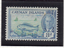 King George VI - Cayman (Isole)