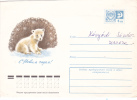 BEARS OURS,1966,COVERS STATIONERY,ENTIER POSTAL,RUSSIA - Ours