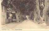 VIDAUBAN -avenue Maximin-Martin - Vidauban