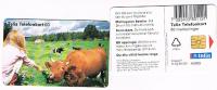 SVEZIA (SWEDEN) - TELIA  (CHIP) - 1996           ANIMALS: GIRL FEEDING COW          -  USED ° - RIF. 7646 - Cows