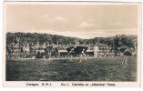 CUR-30      CURACAO : Ostrichs An Albertina Farm - Antigua E Barbuda