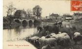 CPA (41)   SALBRIS      Pont Sur La Sauldre (defaut  Bord Droit) - Salbris