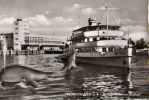 FRIEDRICHSHAFEN A B Letzter Bodensee Walfisch, Bateau De Croisiere Austria, Baleine - Friedrichshafen