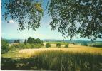 Lampenberg - Kornfeld Beim Kurhaus Abendsmatt           1976 - Andere & Zonder Classificatie