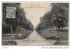 78 ROSNY SUR SEINE - L Allee Des Marronniers, Le Chateau - Rosny Sur Seine