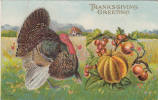 Thanksgiving Greeting - Vintage Colorful Card - Turkey - Embossed - VG Condition - Written - 2 Scans - Thanksgiving