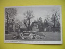 Stratford-upon-Avon SHAKESPEARE"S Garden And Mulberry Tre At New Place - Stratford Upon Avon