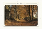 Cp, Limousin, Allée En Automne, Voyagée 1988 ? - Limousin