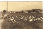 Carte Postale Ancienne Grangeneuve - Les Foins. La Main D'oeuvre Casse La Croute - Agriculture, Chambon Sur Lignon - Le Chambon-sur-Lignon