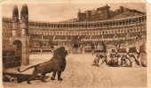 LION DANS L ARENE Manque Au Coin En Haut A Droite - Leones