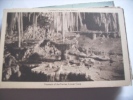 America United States USA  NM Carlsbad Caverns Fountain Of The Fairies - Altri & Non Classificati