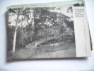 Africa Afrika Sierra Leone Rope Bridge In Woodland - Sierra Leone