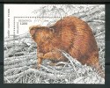 1996 Bielorussia WWF Fauna Animali Animals Animaux Castori Beavers Block MNH**B292 - Roedores