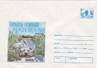 BIRD CIGOGNES ,STORK,  -  ENTIER POSTAUX,COVER STATIONERY,1988,UNUSED, ROMANIA. - Storks & Long-legged Wading Birds