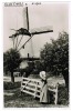 Kloetinge, Zeeuwsch Landschap Molen, Moulin, Windmill, Fotokaart 1949 (pk3384) - Goes