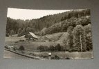 Environs D'offenbourg - Ferme De La Forêt Noire - Offenburg