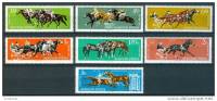 Delcampe - HUNGARY - 1961.Hungarian Horse Sport MNH!! - Hippisme