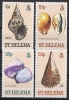 ST-HELENA - 1981 - Coquillages - 4v Neufs - Mnh - Isla Sta Helena