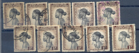 Congo Belge : Ocb Nr:  257  (zie  Scan ) - Used Stamps