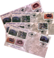 TURTLE Series 4-SET FDC 2011 NEPAL - Tortues