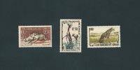 Lotto Di  N. 3   FRANCOBOLLI  NUOVI  SOMALIA   -  Serie  Animali  -  Anno 1960. - Somalie (1960-...)