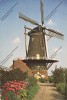 Middelburg Holland : Wind Molen De Konig Mill Moulin à Vent Mühle - Middelburg
