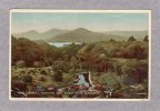 24419   Regno  Unito,  Glengarriff,  Roek  Gardens &  Montains  From  Roches  Hotel,  VG  1946 - Cork
