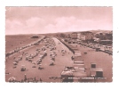 SENIGALLIA (AN) 1950 - Lungomare E Spiaggia - ANIMATA - Viaggiata - In Buone Condizioni. - Senigallia