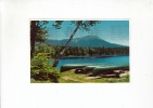 B52199 Mt Katahdin Kidney Pond Cammps Main Used Perfect Shape - Kennebunkport