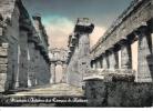 Paestum-interno Tempio Di Nettuno - Otros & Sin Clasificación