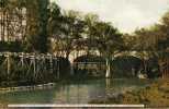 1910 USA Postcard. Bridge And Section Of Scenic Railway. Dellwood Park. Joliet. III.  (T21012) - Ouvrages D'Art