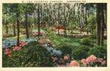 1940 USA Postcard. The Oriental Gardens – Jacksonville, FLA.   (T21006) - Jacksonville