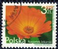 Timbre Oblitéré Used Stamp Nagietek Lekarski 3,75 Zl Fleur Flower Gazanie 2009 POLOGNE WNS N° PL033.09 - Gebruikt