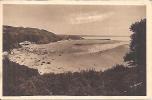 4380. CARTERET.LA PLAGE DANS SON NID DE VERDURE - Carteret