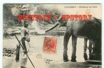 ELEPHANT Au BAIN à Colombo Ceylon - Dos Scané - Elefantes