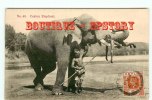 ELEPHANTS - Eléphant à Ceylon - Dos Scané - Elephants