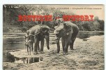 ELEPHANT - Eléphants Et Leurs Cornacs à Ceylon - Dos Scané - Elephants