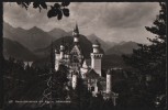 AK Neuschwanstein Mit Alp- Und Schwansee, Ung Verm Um 1960 - Füssen