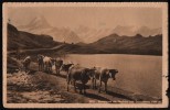 AK Bachalpsee Am Faulhorn Und Schreckhorn, Gelaufen Frankiert 1928 - Horn