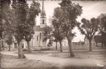 CPSM De VOUNEUIL SUR VIENNE - La Place, Au Centre Du Bourg. - Vouneuil Sur Vienne