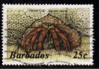 Barbados Used 1985, 25c Hermit Crab, Marine Life., - Barbados (1966-...)