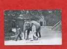 * ELEPHANT(INDE):2 Gardiens...?(Carte Expédiée Ou Adressée De GONDRECOURT-MEUSE-1905 - Éléphants
