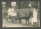 USA REAL PHOTO, CHILDREN WITH PONY CARRIAGE, AGENCY FOR  Dr. DANIELS VETERINARY MEDICINES, REAL PHOTO - Rutas Americanas