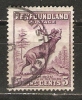 Newfoundland 1932-38  5c   (o)  Die I - 1908-1947