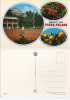 Car036 Cartolina, Postcard, Carte Postale | Tennis | Saluti Da Pieve Pelago, Donna, Girl, Fiore, Flower, Femme, Fleure - Tennis