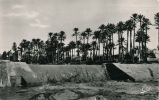 ALGERIE - COLOMB BECHAR - Le Barrage (1957) - Bechar (Colomb Béchar)